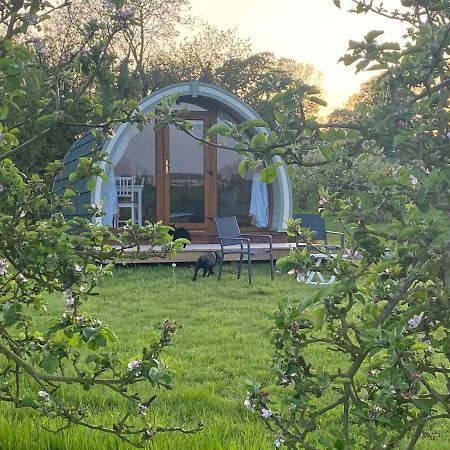Orchard Luxe Glamping Pod Hotell Dungannon Exteriör bild