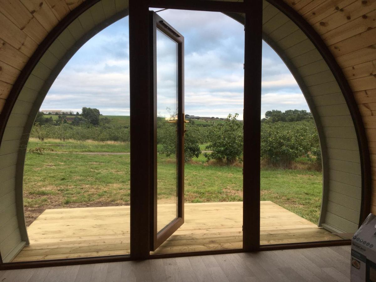 Orchard Luxe Glamping Pod Hotell Dungannon Exteriör bild