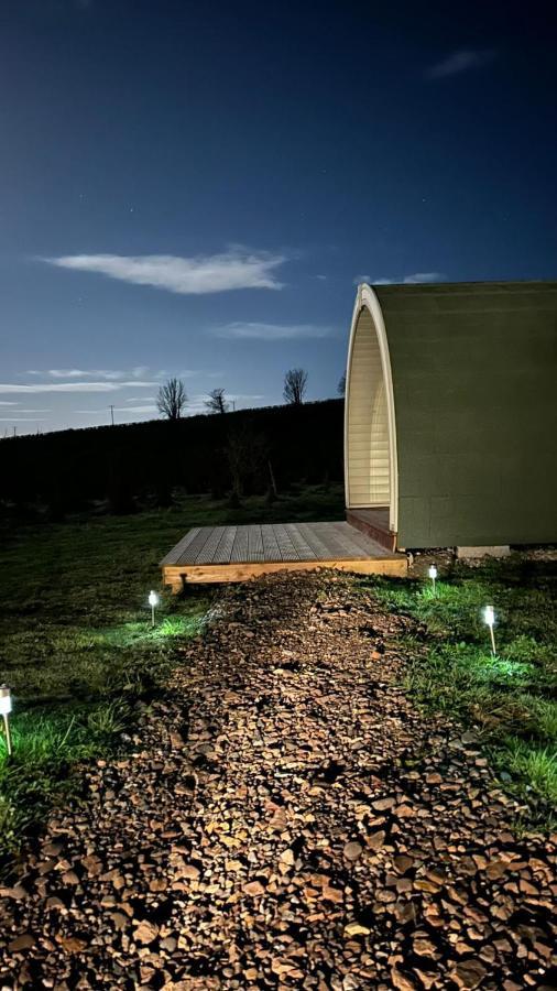 Orchard Luxe Glamping Pod Hotell Dungannon Exteriör bild