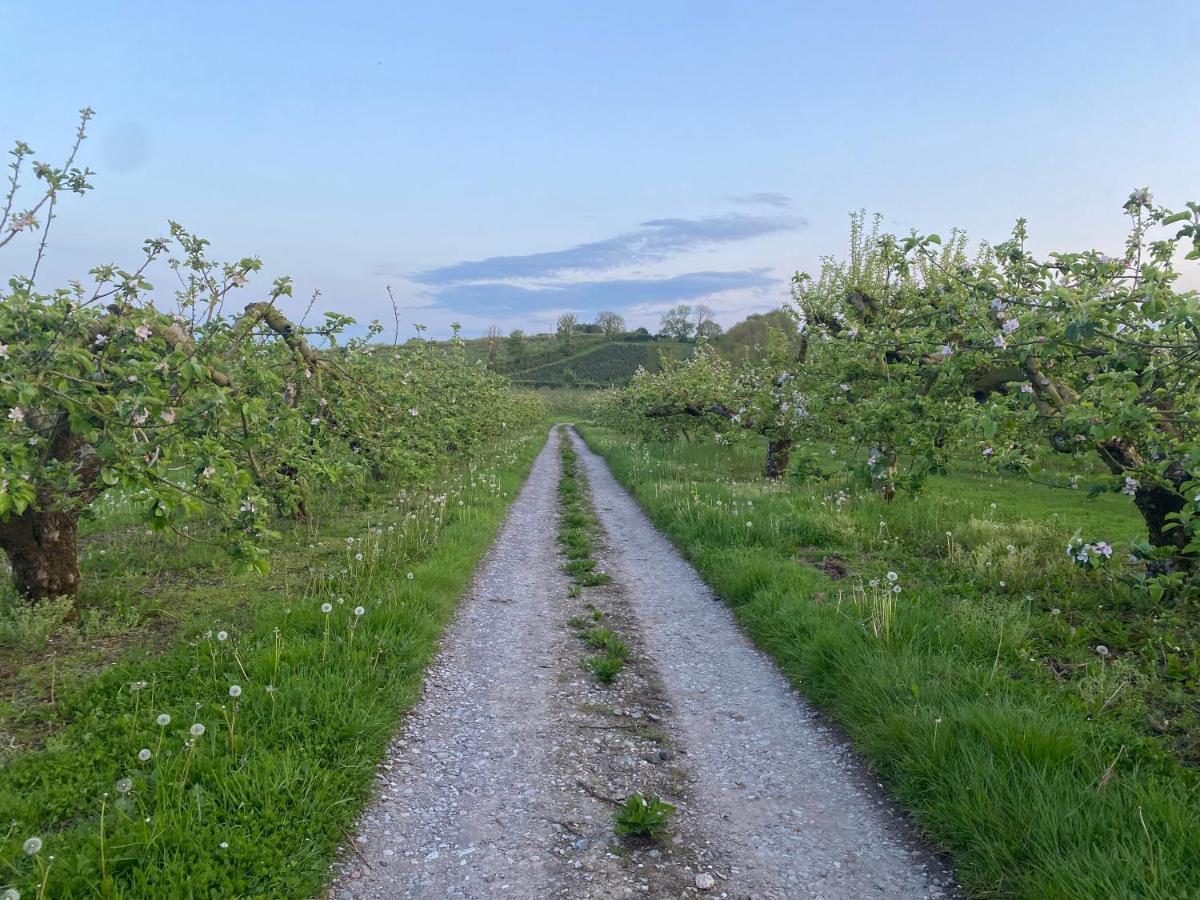 Orchard Luxe Glamping Pod Hotell Dungannon Exteriör bild
