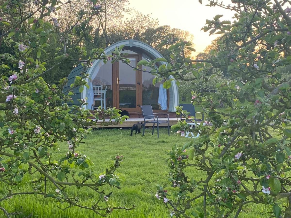 Orchard Luxe Glamping Pod Hotell Dungannon Exteriör bild