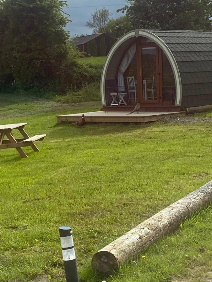 Orchard Luxe Glamping Pod Hotell Dungannon Exteriör bild